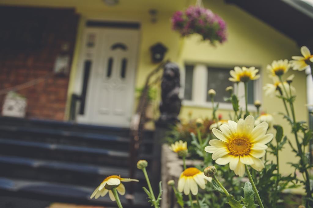 Penzion Kolibrik Bardejovské Kúpele Exterior foto